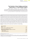 Cover page: The Genetics of Axon Guidance and Axon Regeneration in Caenorhabditis elegans.