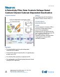 Cover page: A Selectivity Filter Gate Controls Voltage-Gated Calcium Channel Calcium-Dependent Inactivation.