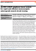 Cover page: An HSV-1-H129 amplicon tracer system for rapid and efficient monosynaptic anterograde neural circuit tracing