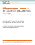 Cover page: Lamin B1 is required for mature neuron-specific gene expression during olfactory sensory neuron differentiation