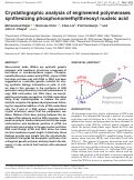 Cover page: Crystallographic analysis of engineered polymerases synthesizing phosphonomethylthreosyl nucleic acid