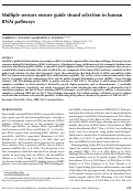 Cover page: Multiple sensors ensure guide strand selection in human RNAi pathways
