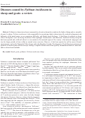 Cover page: Diseases caused by Pythium insidiosum in sheep and goats: a review