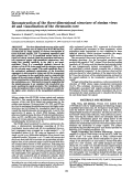 Cover page: Reconstruction of the three-dimensional structure of simian virus 40 and visualization of the chromatin core.