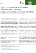 Cover page: The long noncoding RNA ROCKI regulates inflammatory gene expression