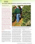 Cover page: San Joaquin Valley blueberries evaluated for quality attributes