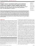 Cover page: Oxygen tension-mediated erythrocyte membrane interactions regulate cerebral capillary hyperemia.