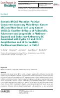 Cover page: Somatic BRCA2 Mutation-Positive Concurrent Accessory Male Breast Cancer (BC) and Non-Small Cell Lung Cancer (NSCLC): Excellent Efficacy of Palbociclib, Fulvestrant and Leuprolide in Platinum-Exposed and Endocrine-Refractory BC Associated with Cyclin D1 and FGFR1 Amplification and of Carboplatin, Paclitaxel and Radiation in NSCLC.