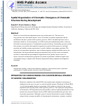 Cover page: Spatial Organization of Chromatin: Emergence of Chromatin Structure During Development