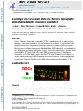 Cover page: Visibility of microvessels in Optical Coherence Tomography angiography depends on angular orientation