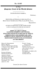Cover page of Brief of Amici Curiae in United States v. Windsor and Hollingsworth v. Perry of National Women's Law Center, Williams Institute, and Women's Legal Groups