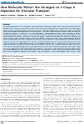 Cover page: How Molecular Motors Are Arranged on a Cargo Is Important for Vesicular Transport