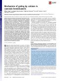 Cover page: Mechanism of gating by calcium in connexin hemichannels