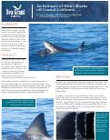 Cover page: An Estimate of White Sharks off Central California