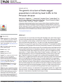 Cover page: The genetic structure of Aedes aegypti populations is driven by boat traffic in the Peruvian Amazon