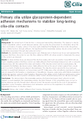 Cover page: Primary cilia utilize glycoprotein-dependent adhesion mechanisms to stabilize long-lasting ilia-cilia contacts