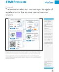 Cover page: Transmission electron microscopic analysis of myelination in the murine central nervous system