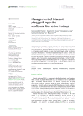 Cover page: Management of bilateral pterygoid myositis ossificans-like lesion in dogs