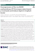 Cover page: Overexpression of the rice BAHD acyltransferase AT10 increases xylan-bound p-coumarate and reduces lignin in Sorghum bicolor