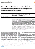 Cover page: Molecular architecture and functional dynamics of the pre-incision complex in nucleotide excision repair