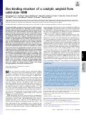 Cover page: Zinc-binding structure of a catalytic amyloid from solid-state NMR