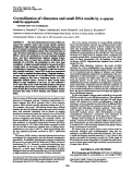 Cover page: Crystallization of ribozymes and small RNA motifs by a sparse matrix approach.