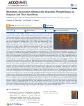 Cover page: Membrane Association Allosterically Regulates Phospholipase A2 Enzymes and Their Specificity