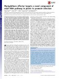 Cover page: Phytophthora effector targets a novel component of small RNA pathway in plants to promote infection