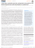 Cover page: Codon bias, nucleotide selection, and genome size predict in situ bacterial growth rate and transcription in rewetted soil.