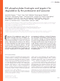 Cover page: IKK phosphorylates Huntingtin and targets it for degradation by the proteasome and lysosome