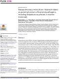Cover page: Nasopulmonary mites (Acari: Halarachnidae) as potential vectors of bacterial pathogens, including Streptococcus phocae, in marine mammals
