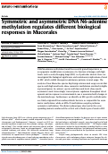 Cover page: Symmetric and asymmetric DNA N6-adenine methylation regulates different biological responses in Mucorales