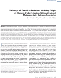 Cover page: Pathways of Genetic Adaptation: Multistep Origin of Mutants Under Selection Without Induced Mutagenesis in Salmonella enterica