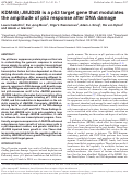 Cover page: KDM4B/JMJD2B is a p53 target gene that modulates the amplitude of p53 response after DNA damage