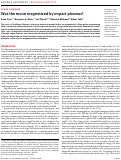 Cover page: Was the moon magnetized by impact plasmas?