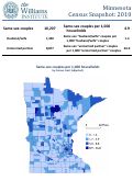 Cover page of Minnesota Census Snapshot: 2010