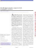 Cover page: The ER-Golgi intermediate compartment feeds the phagophore membrane