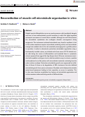 Cover page: Reconstitution of muscle cell microtubule organization in vitro