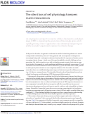 Cover page: The silent loss of cell physiology hampers marine biosciences