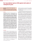 Cover page: EUO is a master regulator of Chlamydia late genes