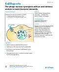 Cover page of The phage nucleus synergizes with an anti-defense protein to resist bacterial immunity