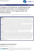 Cover page: Ontogeny of biochemical, morphological and functional parameters of synaptogenesis in primary cultures of rat hippocampal and cortical neurons