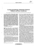 Cover page: Cerebral Morphologic Distinctions Between Williams and Down Syndromes