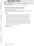 Cover page: RNA-TAG Mediated Protein-RNA Conjugation.