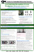 Cover page: Vocal Individual Recognition of Acorn Woodpecker (Melanerpes formicivorus)