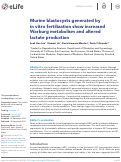 Cover page: Murine blastocysts generated by in vitro fertilization show increased Warburg metabolism and altered lactate production.