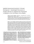 Cover page: Epithelial-mesenchymal interactions in prostatic development. I. morphological observations of prostatic induction by urogenital sinus mesenchyme in epithelium of the adult rodent urinary bladder.