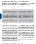 Cover page: Identification of Burseraceae trees from Peru: a comparison of the nuclear DNA marker ITS and the plastid DNA marker rbcL for DNA barcoding