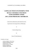 Cover page: Cartilage tissue engineering with human chondrocytes from osteoarthritic knees and a semi-permeable membrane