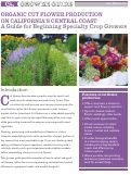 Cover page: Organic Cut Flowers on California's Central Coast: A Guide for Beginning Specialty Crop Growers